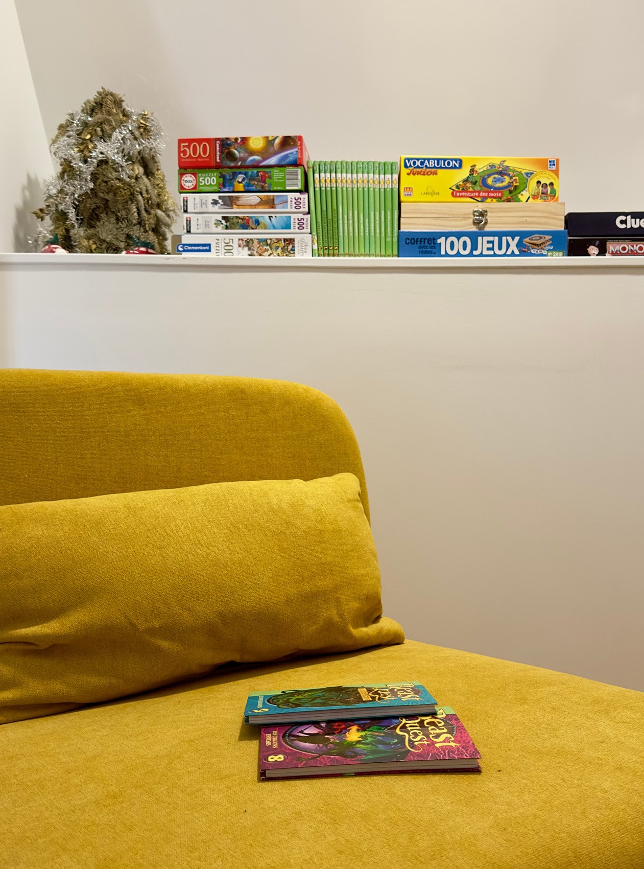 Des jeux de société et des livres pour se divertir